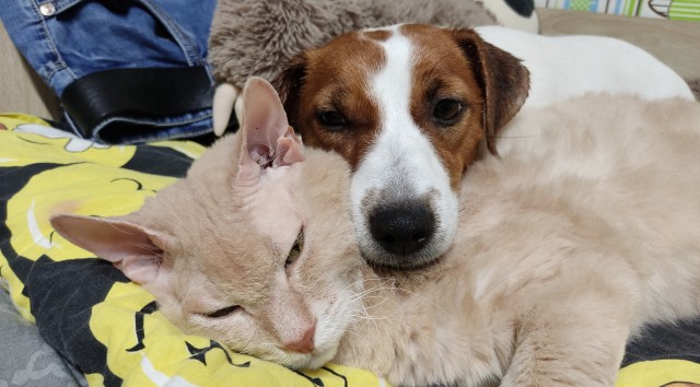 Праздник так-то