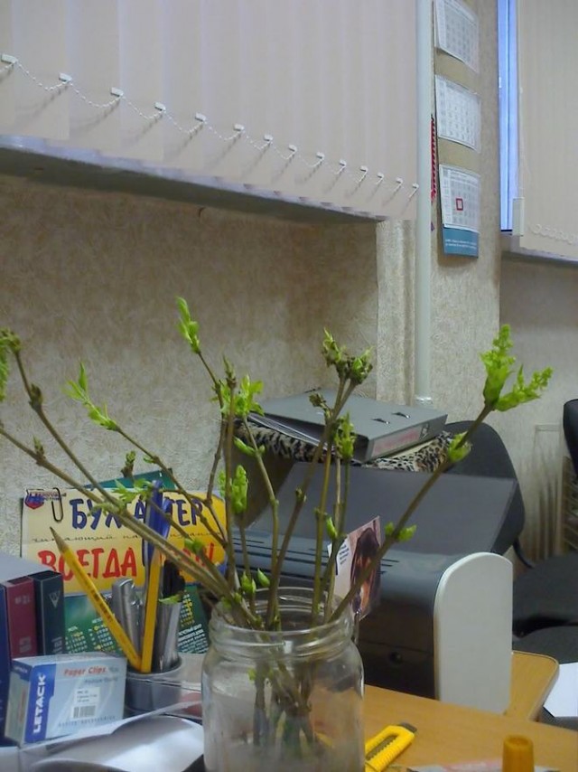 Почистил телефон