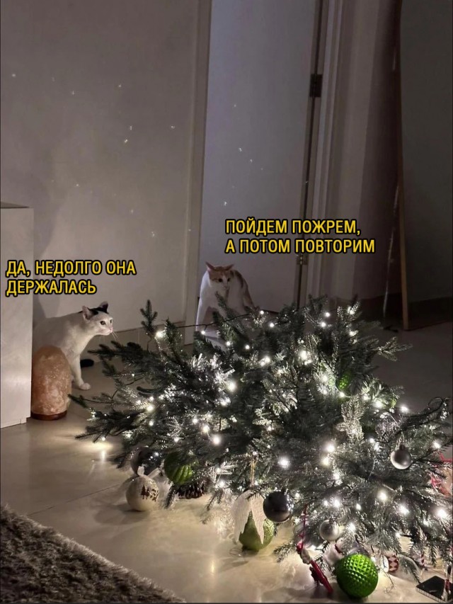 Так себе картинки 31.12.23