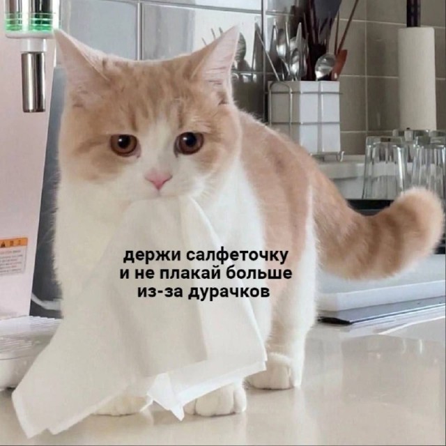 Юмор в картинках и без