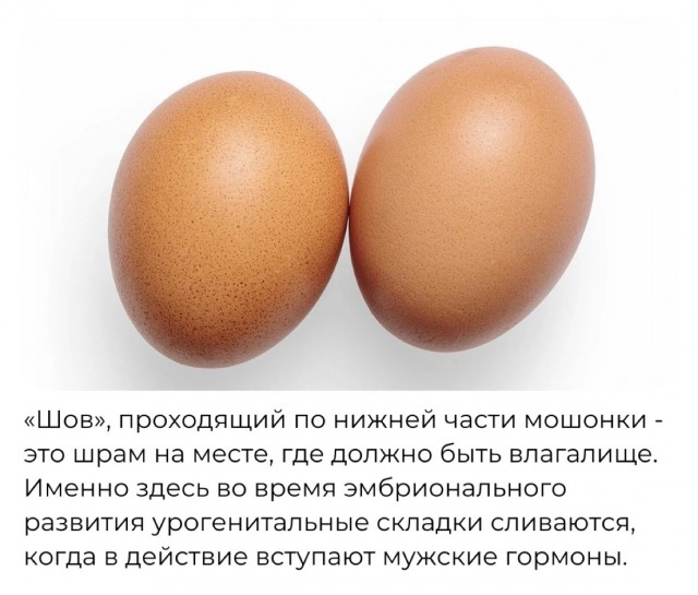 Так себе картинки 17.02.24
