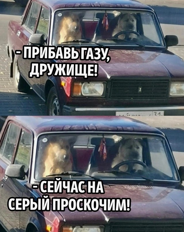 Всего понемногу. От 24.02.24