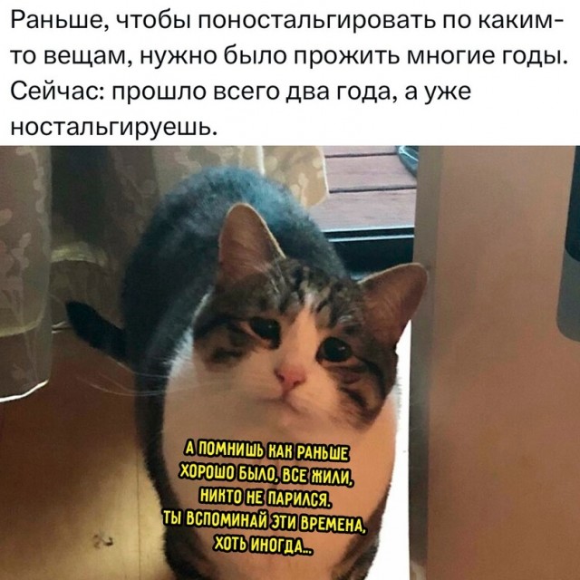 Весёлый полтишок 04.03.24