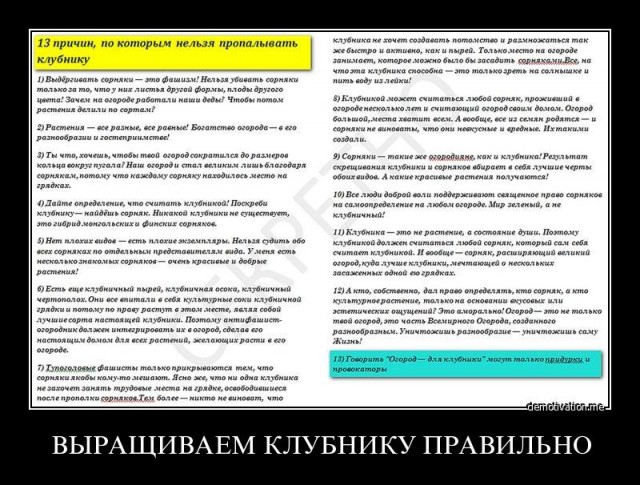 Дагестанские рабы. их везут из России....
