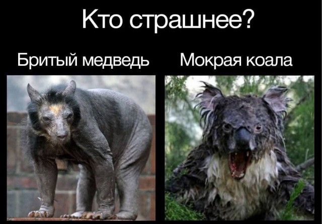 Завалялось тут случайно немного забавных картинок