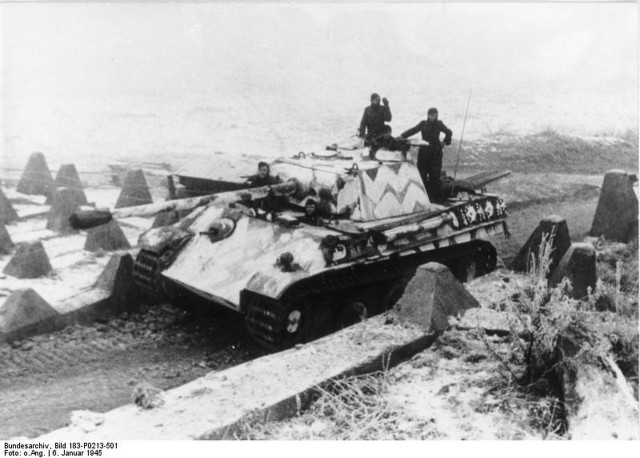 1945 год в 84 фотографиях