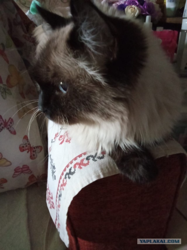 Пришёл