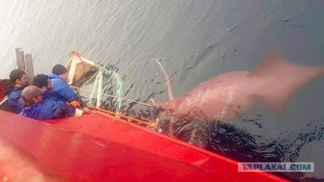 Какое приятное взаимодействие