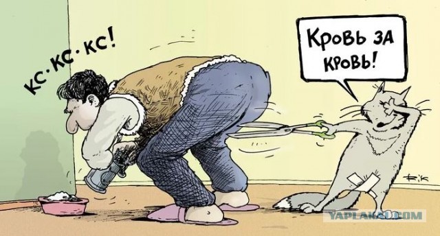 Прости, Василий!