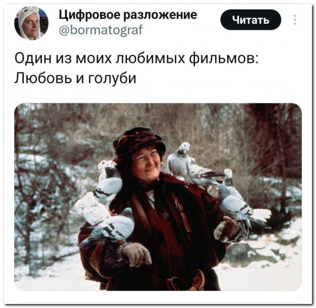 А какой у вас любимый фильм?