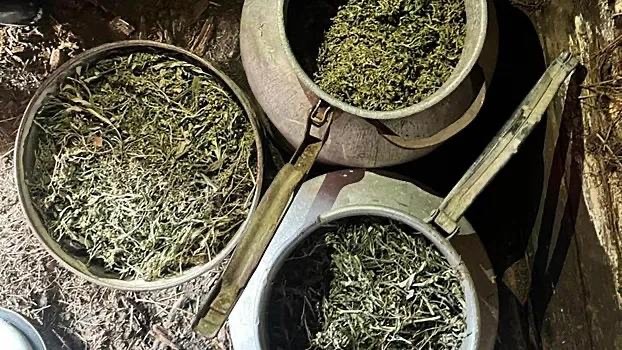 Пенсионер заготовил себе 14 килограммов марихуаны и курил её втайне от жены