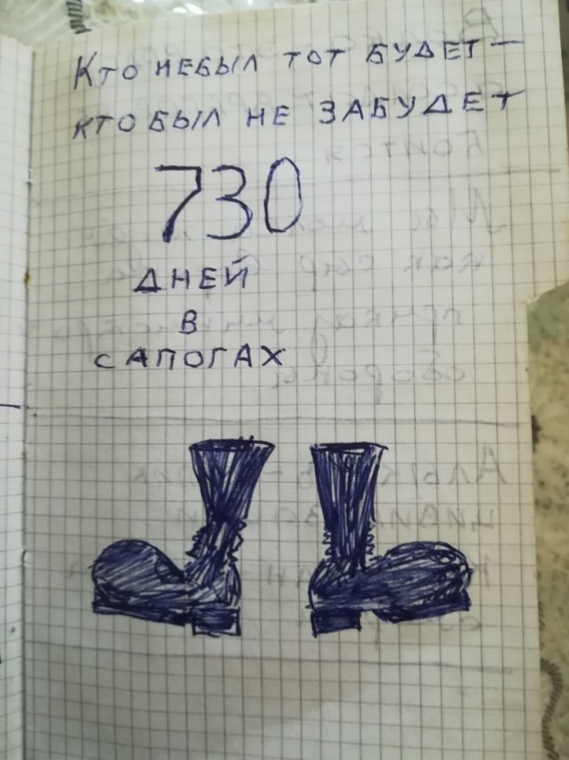 Первые 2 года жизни ёлочки за 60 секунд