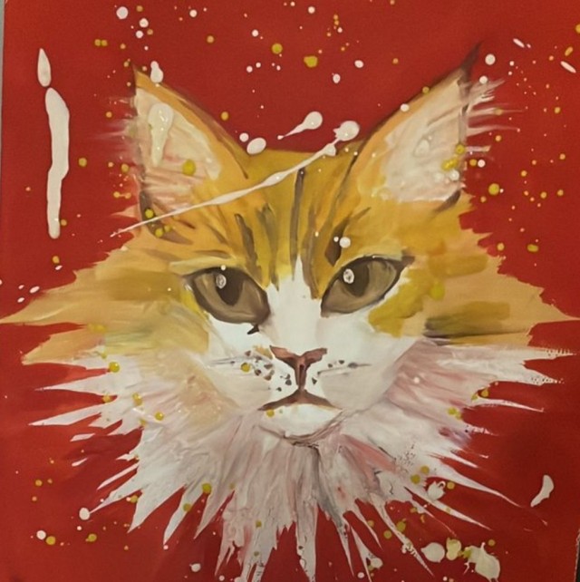 Котовторник!
