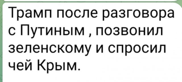 Трамп прокомментировал разговор с Зеленским