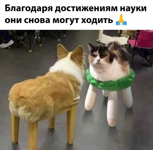 Веселые картинки в маленькую пятницу (19.02)