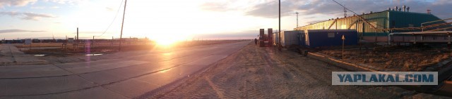 Красота! Лето на Ямале. Фото