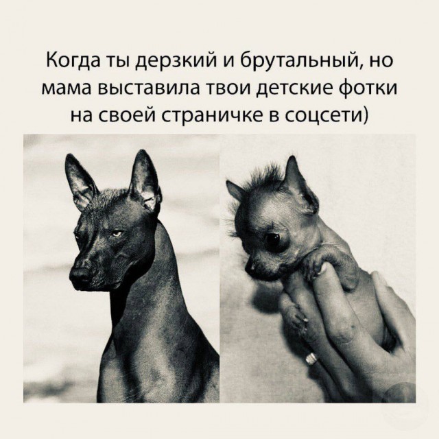 Юмор в буквах за день и неприятный человек