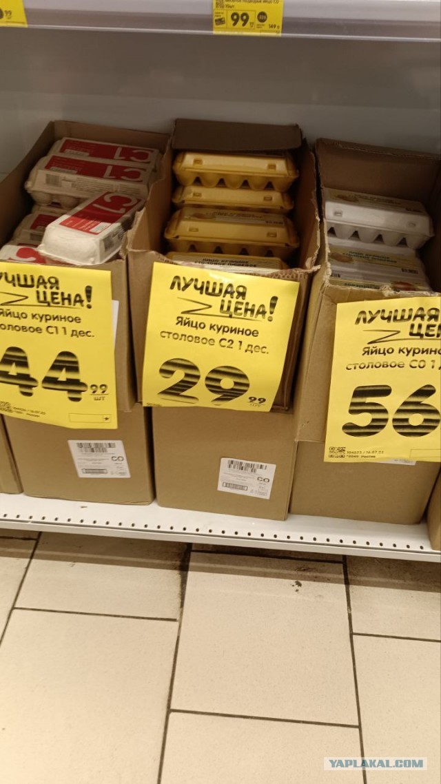 Нормальные человеческие яйца!