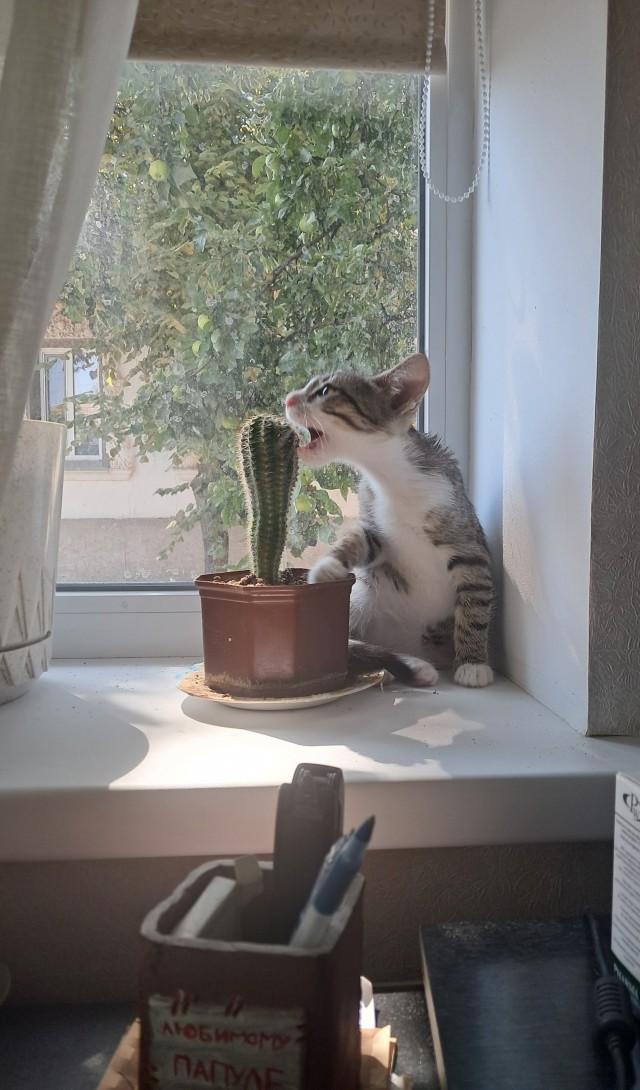 Лёлик подрастает.