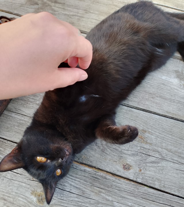 Его первый вторник