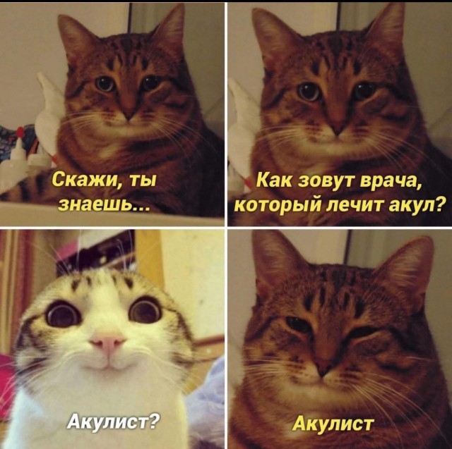 Маленькая пятница. 3.09
