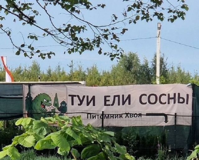 Так себе картинки 10.09.25