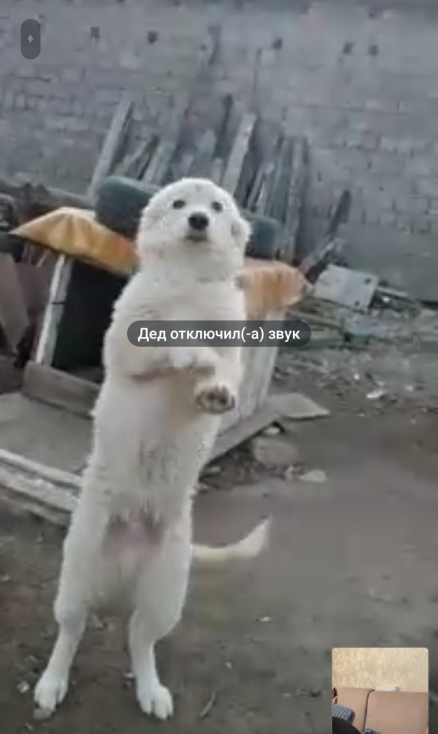 Как назвать?