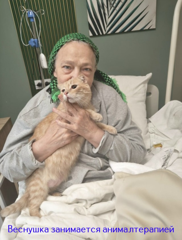 Жизнь домашнего приюта "Котоленд" 515