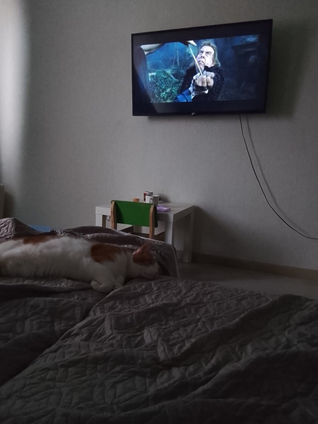 Гарри Поттер и ленивые выходные.