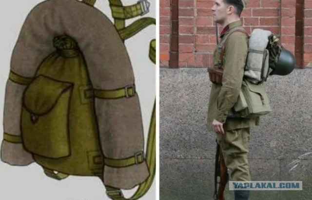 А ты овца