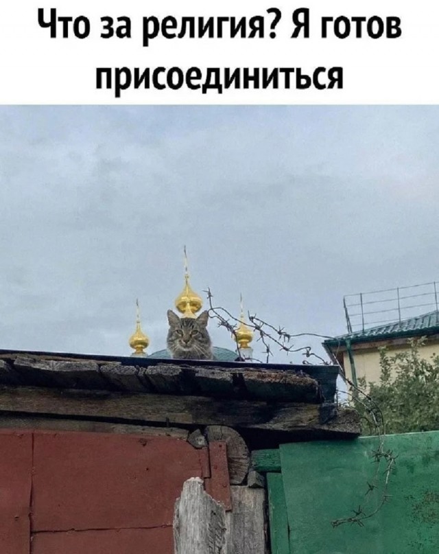 Так себе картинки 02.01.26