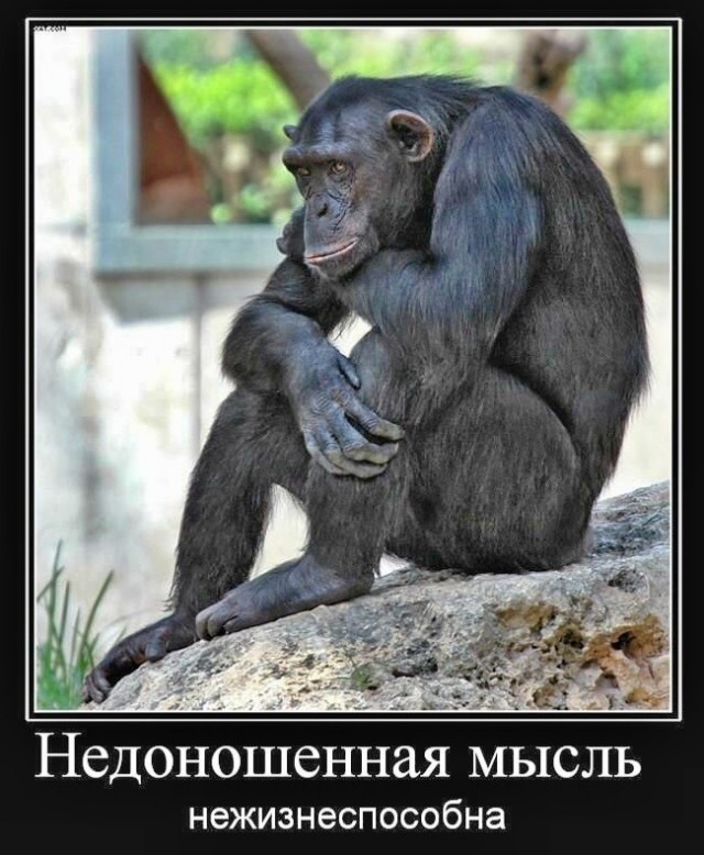 Вторника картинки