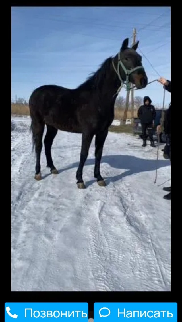 Держи подсрачник, фантазёр.