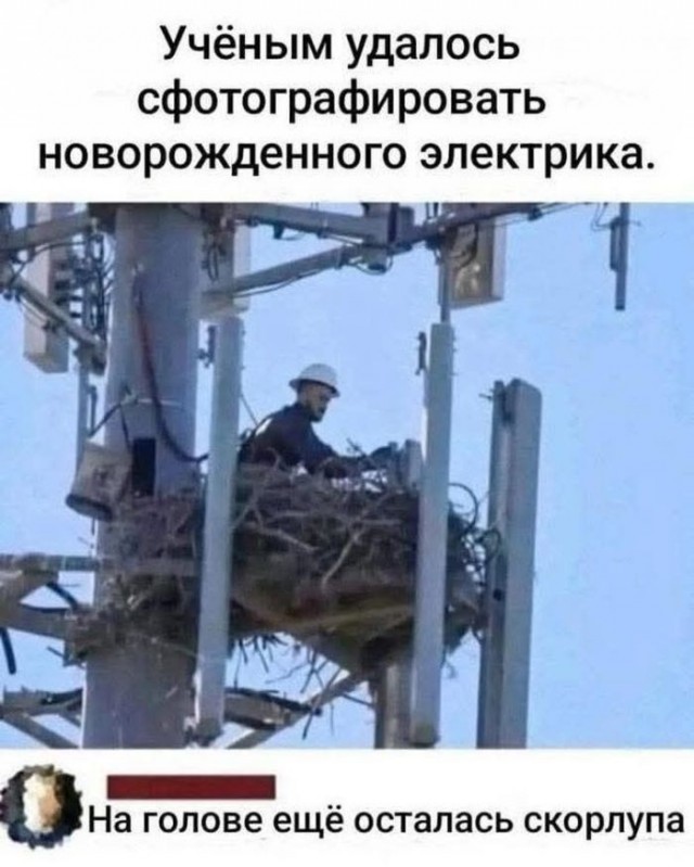 Картинки для деградации 172 (разной степени свежести)