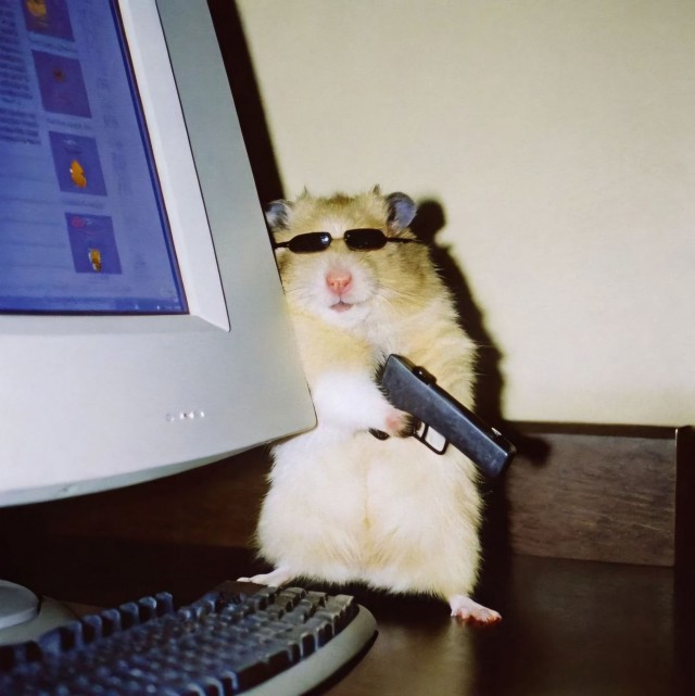 Магазин виниловых пластинок утонул в фекалиях кала в центре Уфы