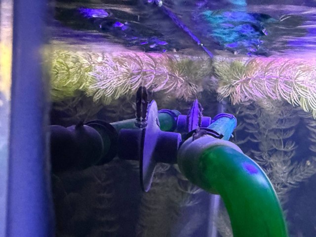 Может аквасреду введем?