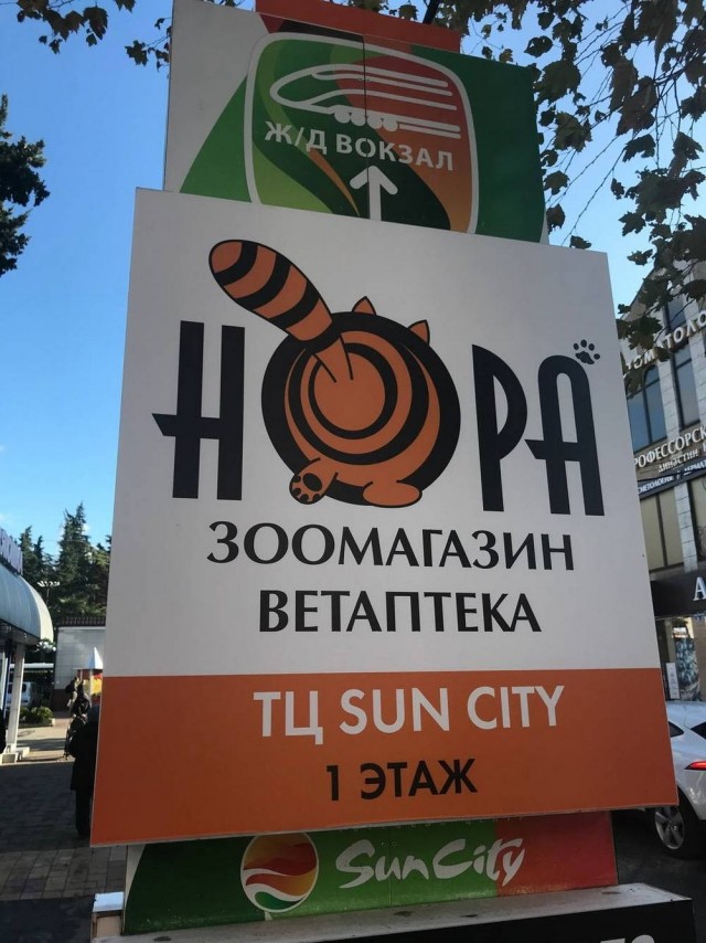 Веселые картинки в понедельник (18.05)