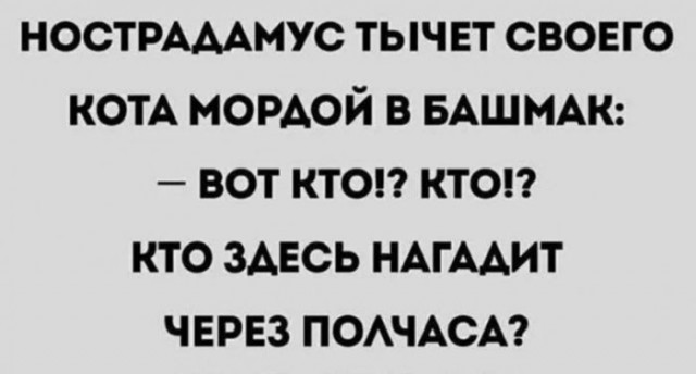 Картинки для деградации 236 (разной степени свежести)