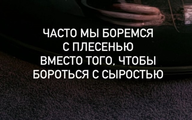 Веселые картинки в понедельник (13.07)
