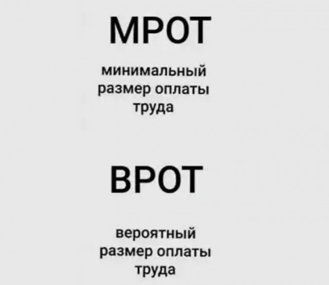 Мемы 30 штук к понедельнику