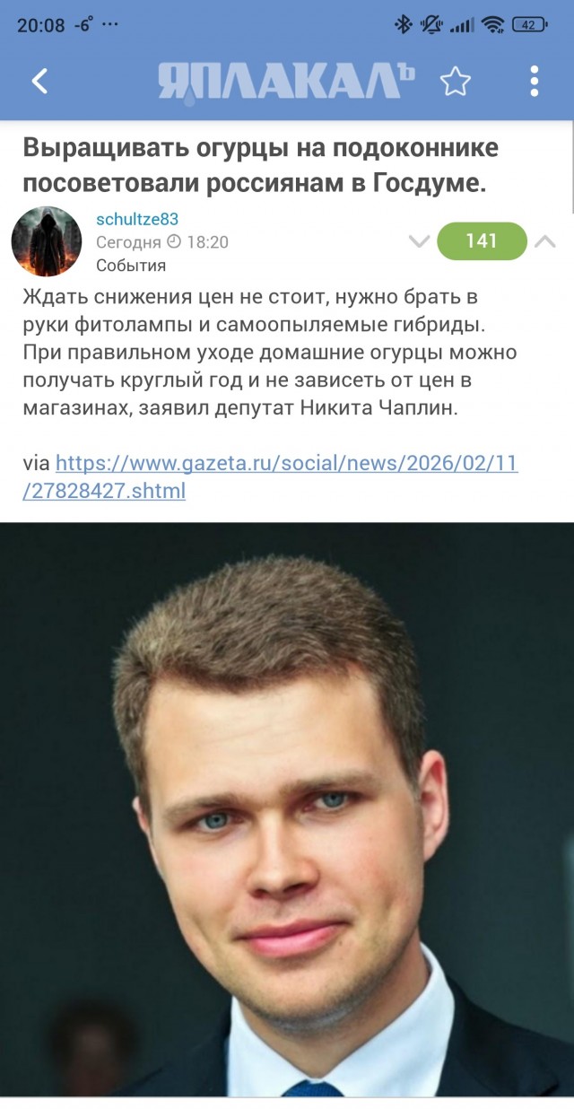 В одном из ЖК соседи посадили помидоры на клумбе