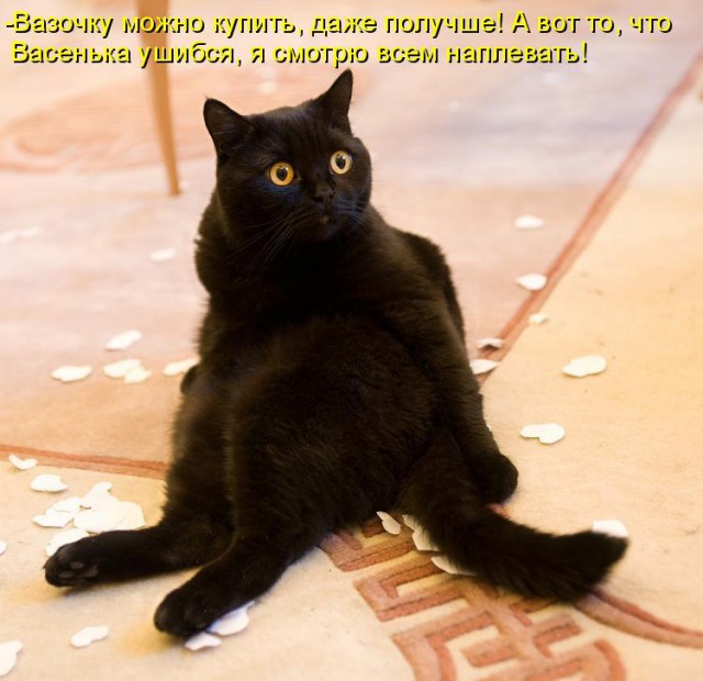 Не про олимпиаду