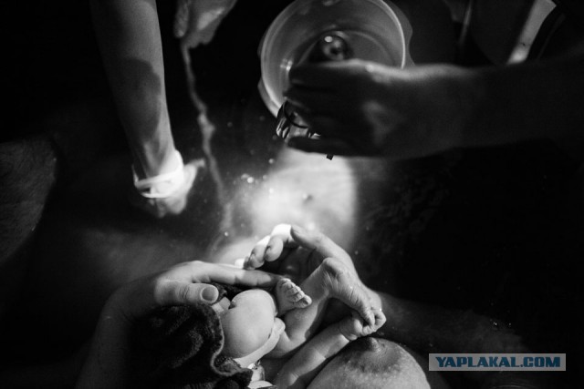 Как рождаются дети