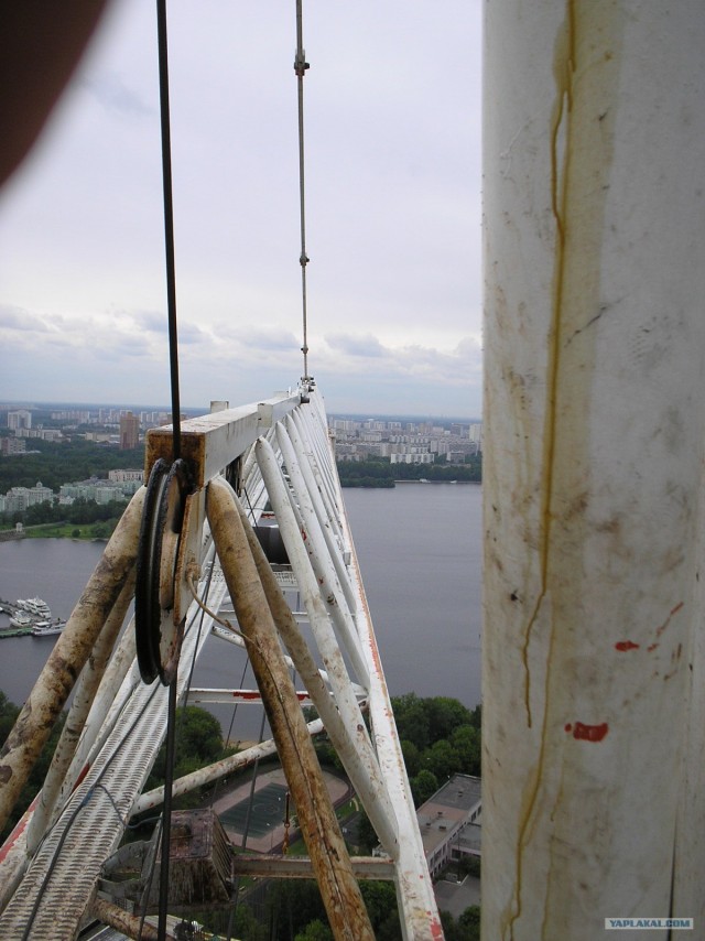 Из-под земли к облакам