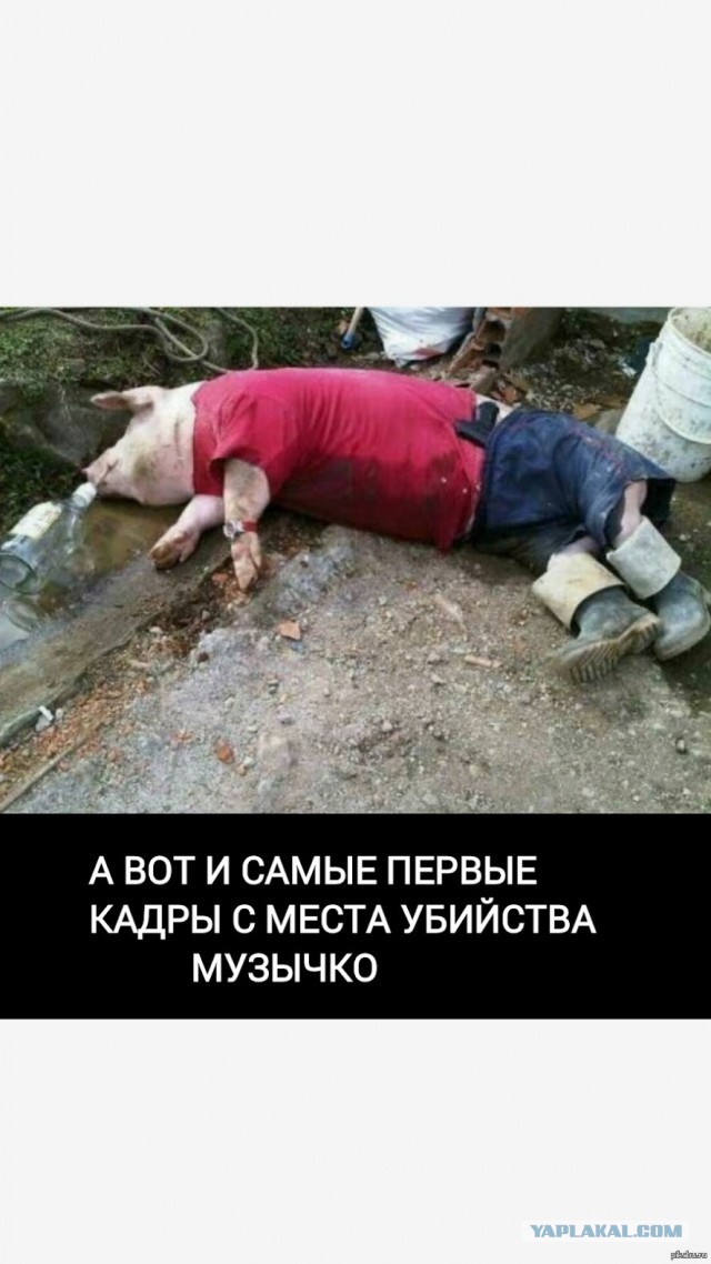 Убит "Сашко Бiлий" (Александр Музычко)