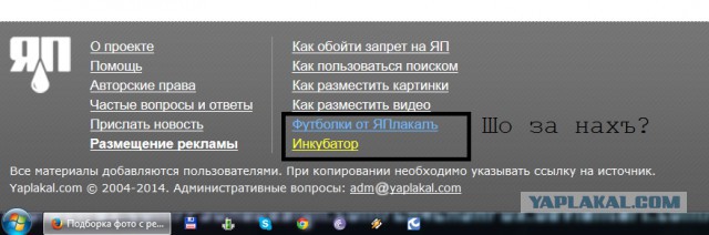 Луганск. Евромайдановец срывал объявления