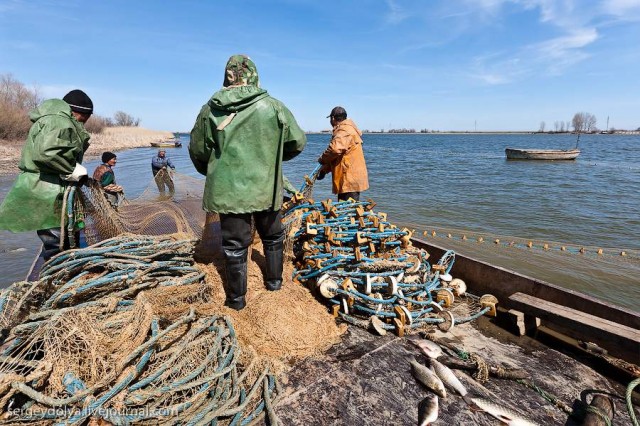 Астрахань и профессиональная рыбная ловля