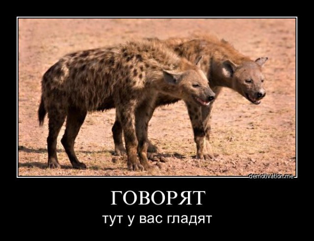 В Африку - ни ногой!