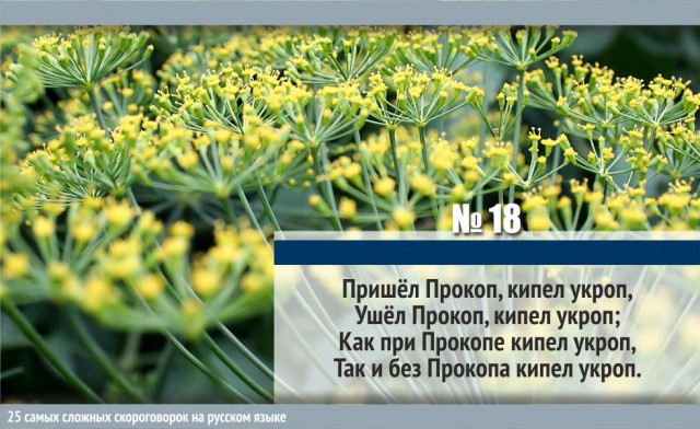 25 сложнейших русских скороговорок