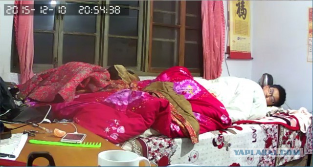 За что я люблю китайцев